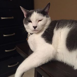 Meet your Posher, Emma